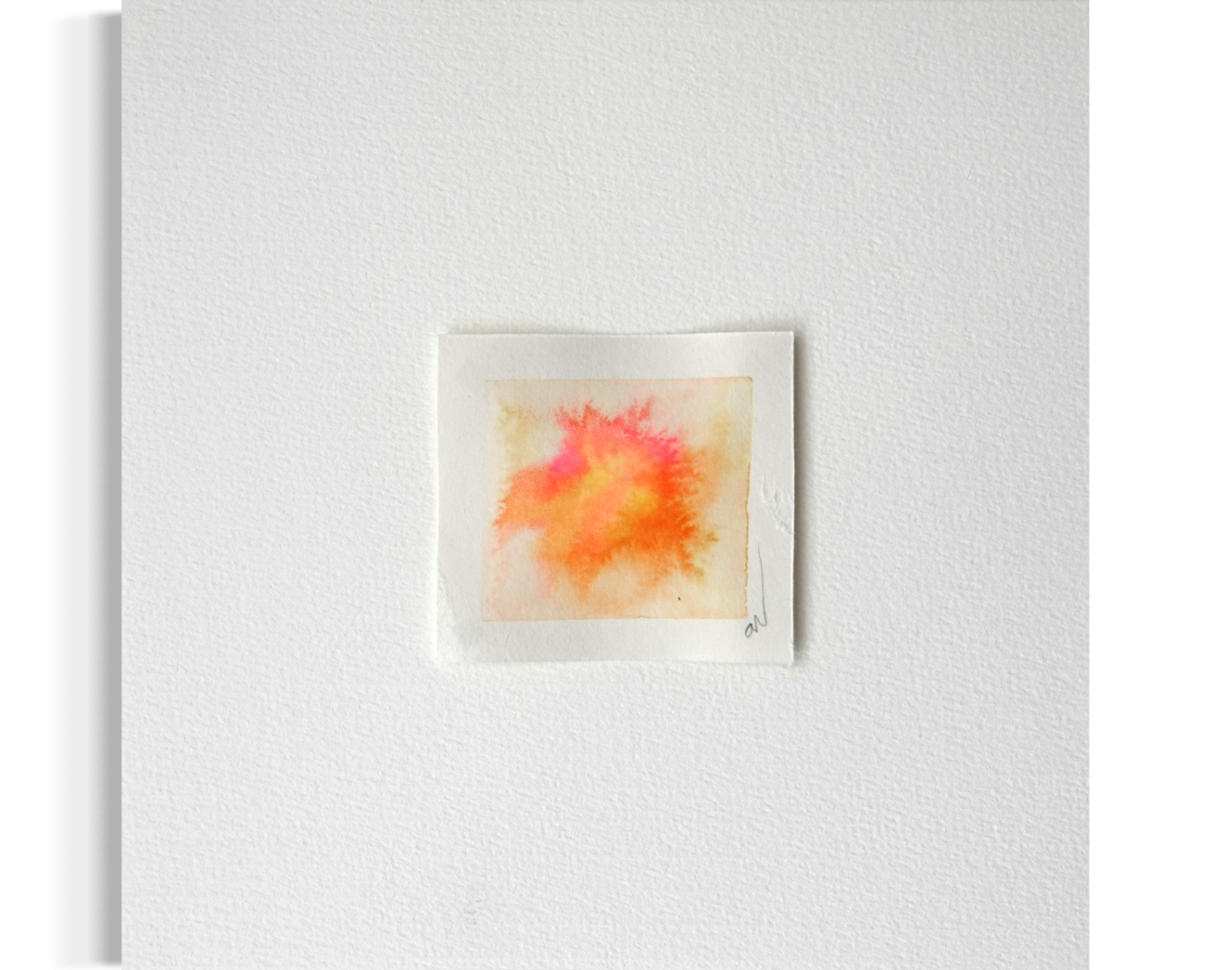 Solar Blush