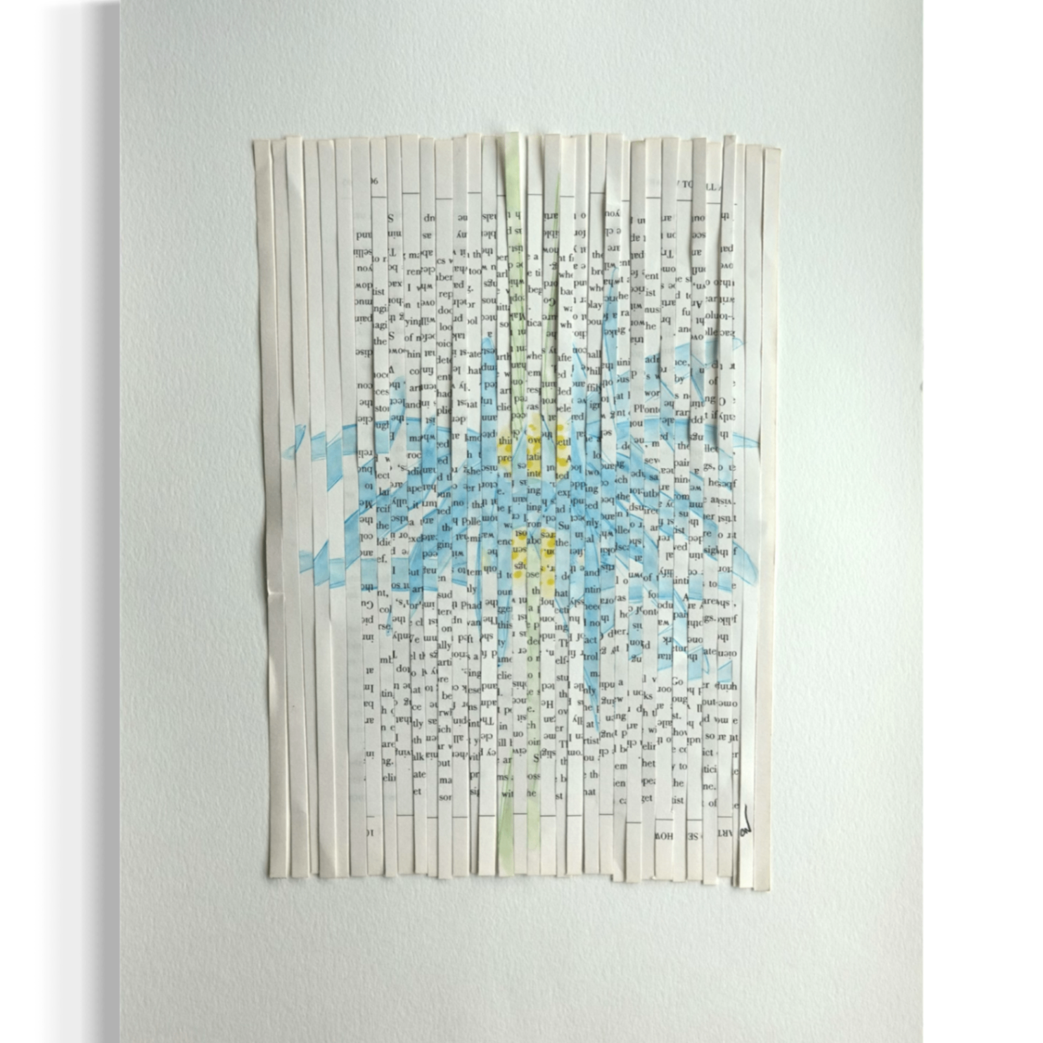 Blue Iris Pages