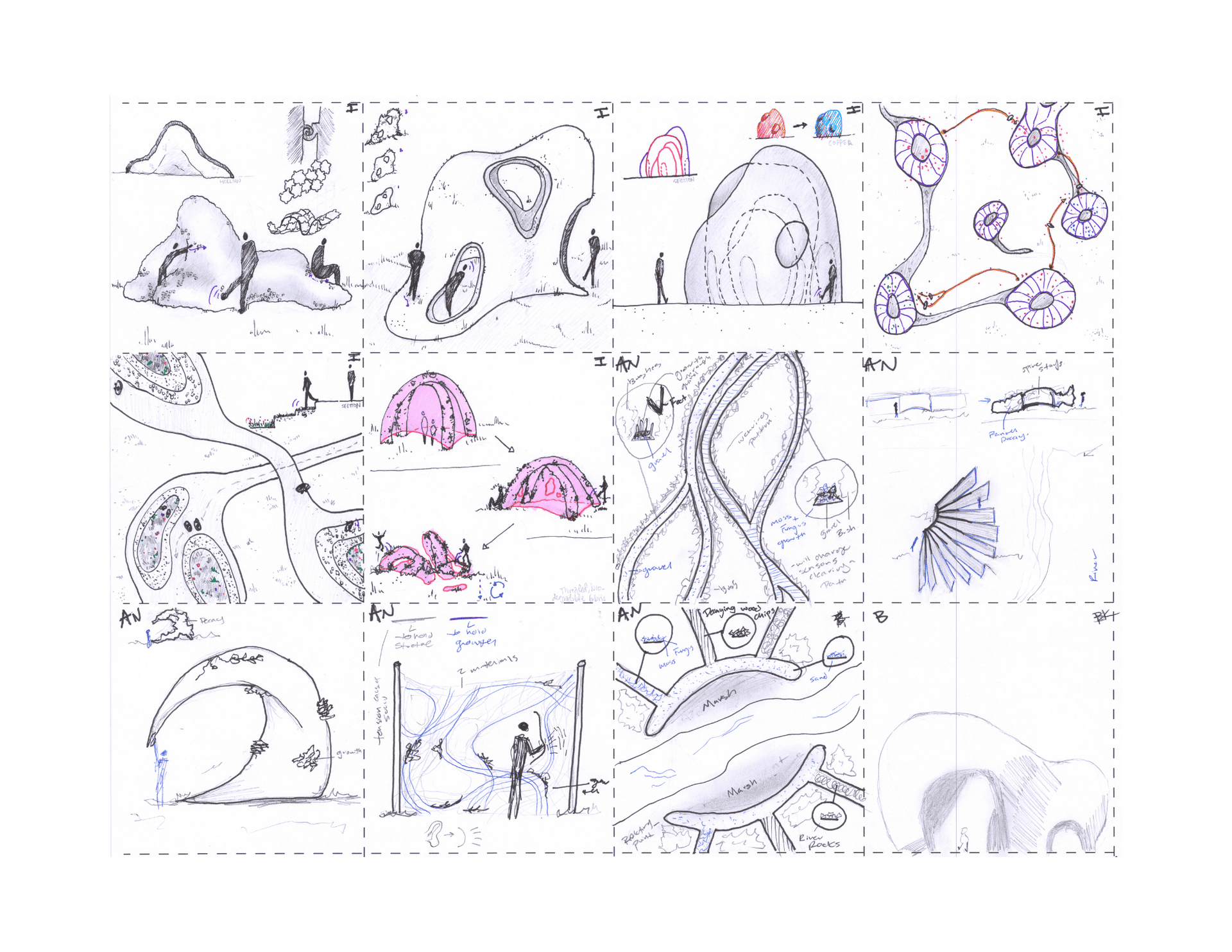 Convergent 4×3 sketch refinements develop spatial, material, and fungal logic through ten-minute iterations including plan diagrams, section studies, and colored form explorations.