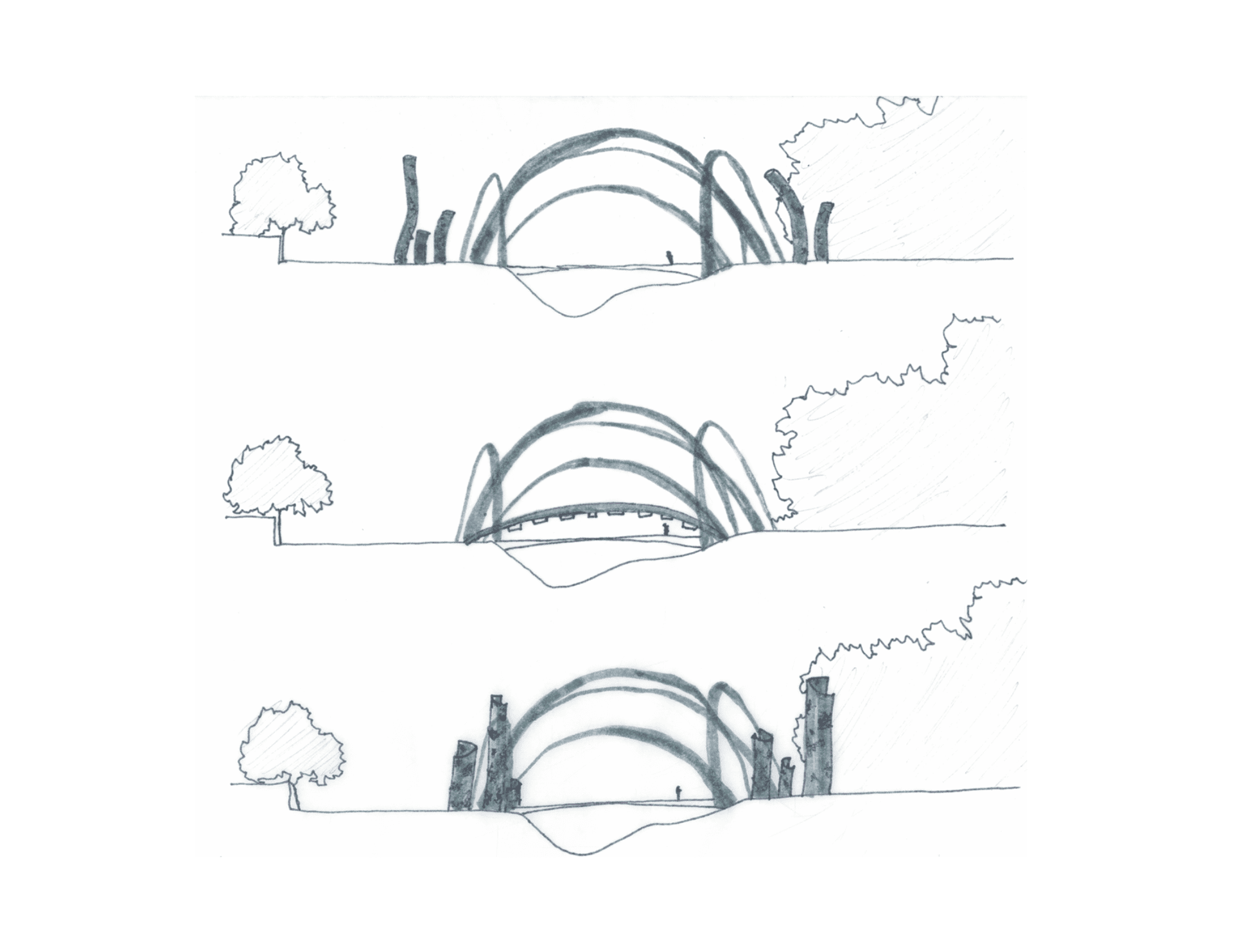 Three elevation studies stack variations of the dome form, testing proportions of the canopy arc, structural columns, and relationship to existing tree canopy.
