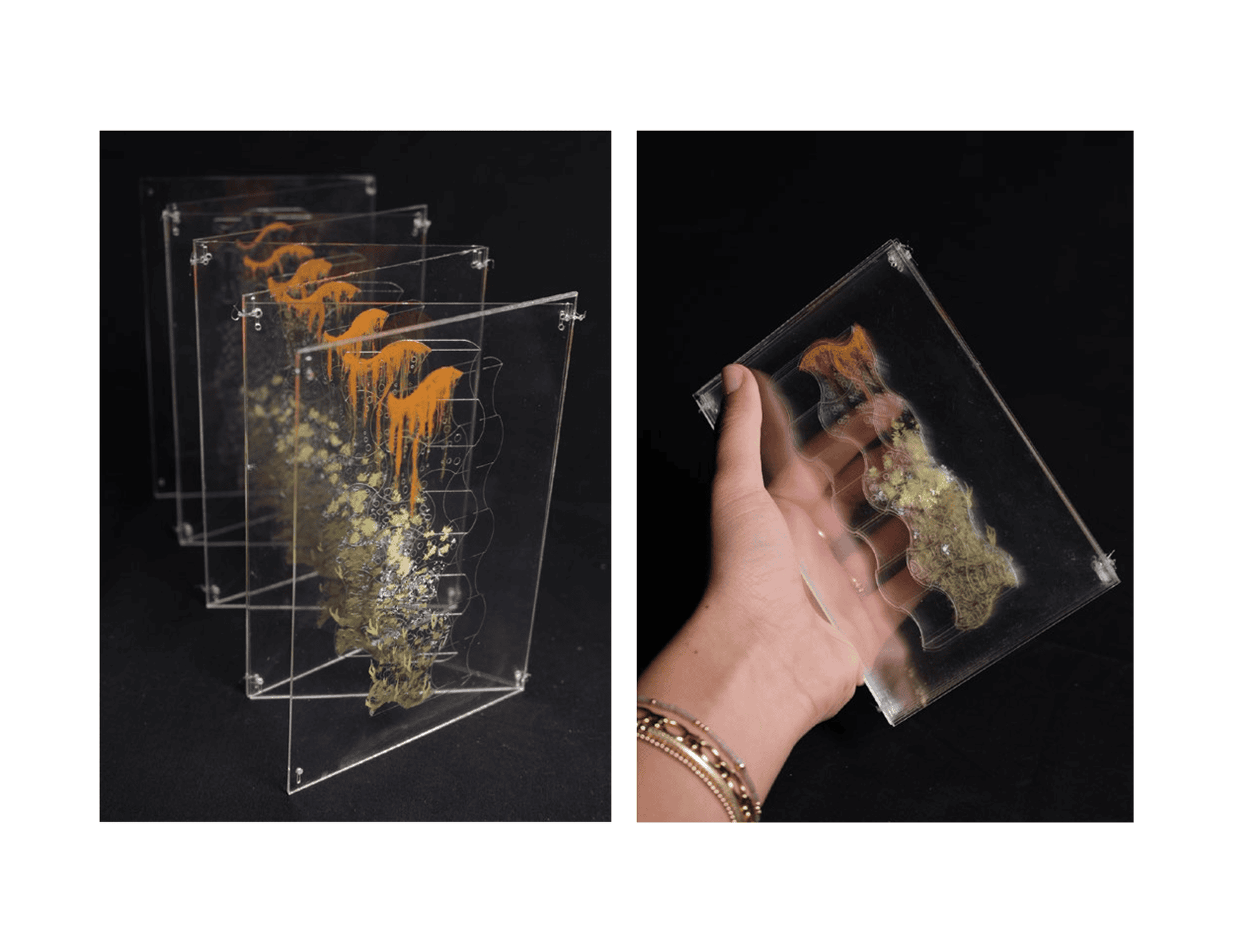 Two-photo close study of the layered acrylic ecology assembly — left shows three panels fanned open with orange rust and green growth building across each layer, right shows a single panel held in hand against black background revealing translucency and depth of the painted ecological succession.