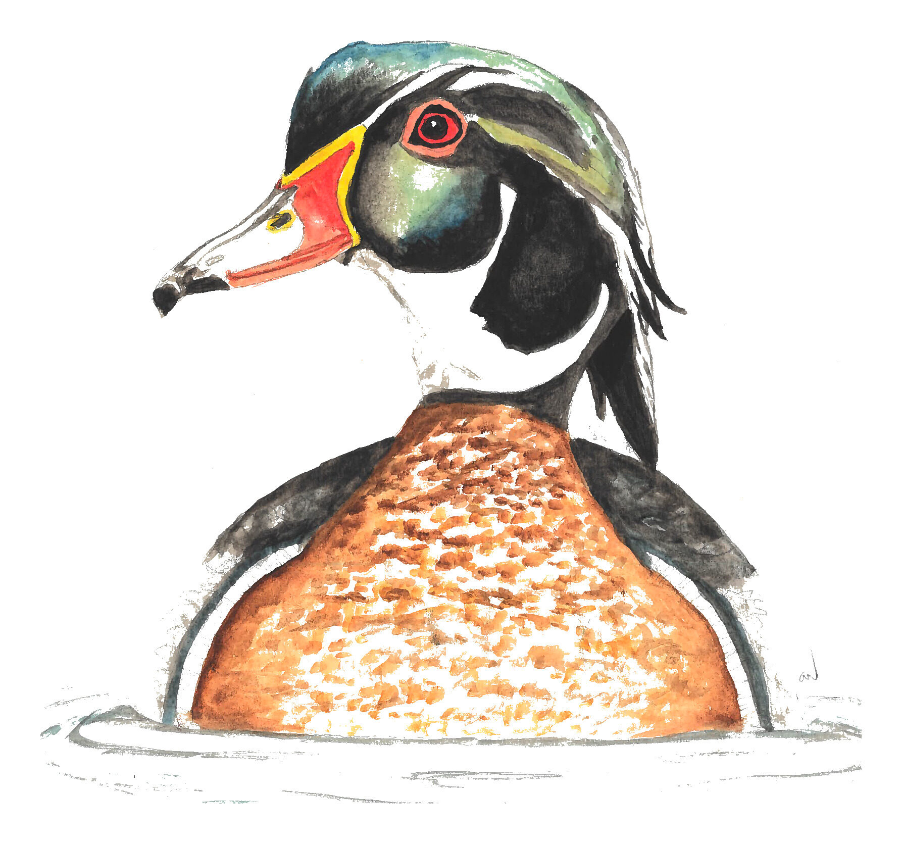 Sitting Duck