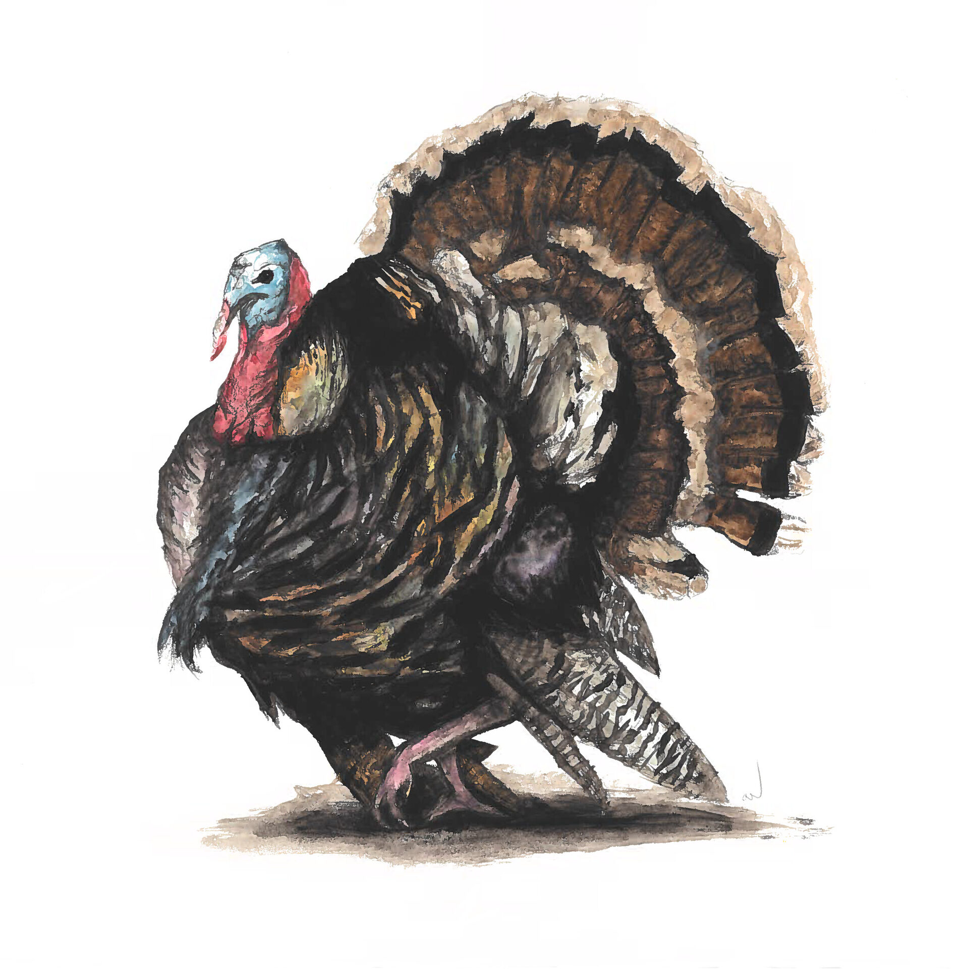 Turkey
